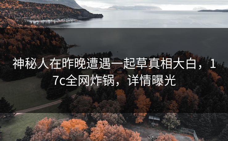 神秘人在昨晚遭遇一起草真相大白，17c全网炸锅，详情曝光