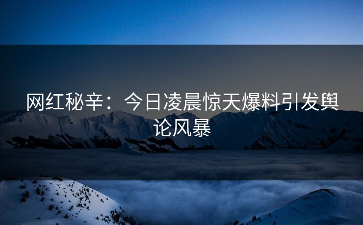 网红秘辛：今日凌晨惊天爆料引发舆论风暴