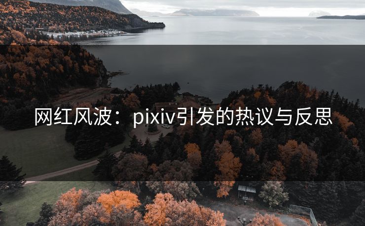 网红风波:pixiv引发的热议与反思 网红风波:pixiv引发的热议与反思