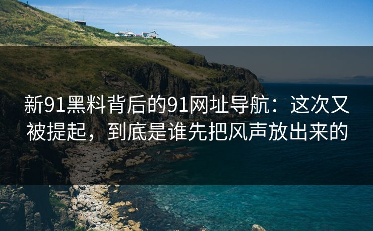 新91黑料背后的91网址导航：这次又被提起，到底是谁先把风声放出来的